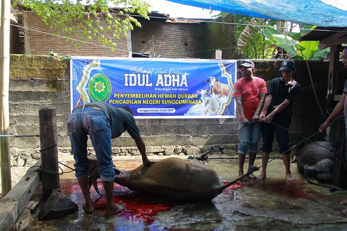 qurban 2025 3