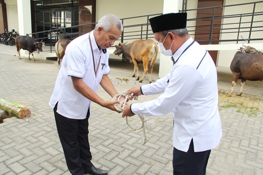 qurban 1443H 3